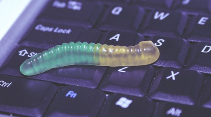 worm on a keyboard