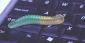 worm on a keyboard